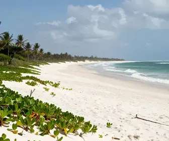 Caburé: O Encanto das Praias da Cidade de Barreirinha