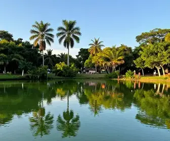 Descubra a Lagoa Verde: Um Paraíso em Barreirinha-MA