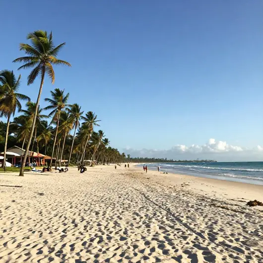 Descubra a Praia de Caburé