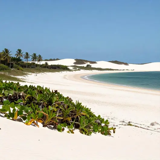 Descubra Lencois Beach