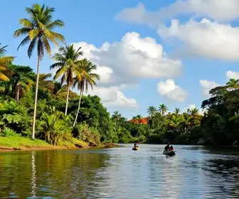 Descubra o Encanto do Rio Preguiças em Barreirinha, Maranhão