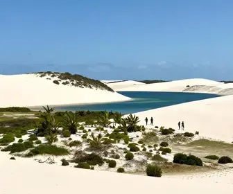 Descubra o Parque das Dunas em Barreirinhas: Beleza e Aventura
