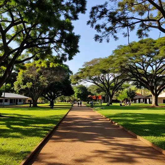 Descubra o Parque Municipal Barreirinha