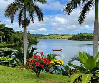 Descubra os Encantos do Passeio na Lagoa Bonita em Barreirinha