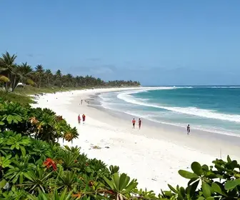 Descubra Tutóia: Um Tesouro Turístico no Maranhão