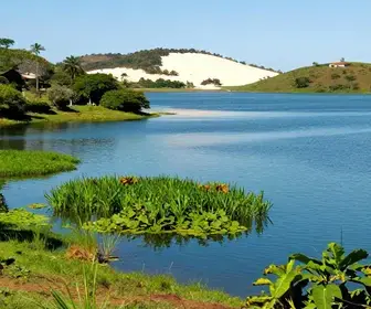 Explorando a Beleza da Lagoa da Esmeralda em Barreirinha Explorando a Beleza da Lagoa da Esmeralda em Barreirinha
