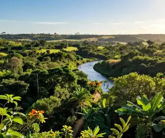 Explore Baixa Grande: Um Paraíso Natural em Barreirinha-MA Explore Baixa Grande: Um Paraíso Natural em Barreirinha-MA