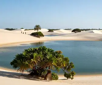 Explore o Canto dos Lençóis: Um Paraíso em Barreirinha