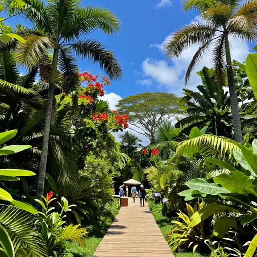 Explore o Tropical Adventure Explore o Tropical Adventure