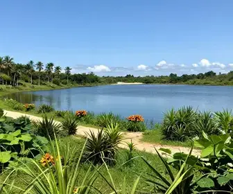 Lagoa do Peixe: O Paraíso Escondido em Barreirinha