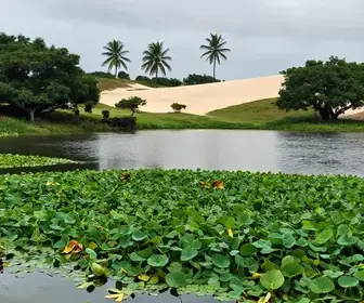 Temporada de Chuvas em Barreirinhas: O Que Esperar e Como Aproveitar