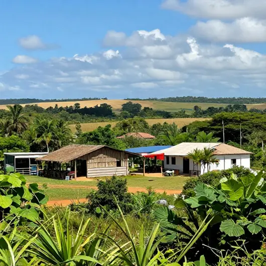 Transfer Barreirinhas: Seu Guia de Transporte em Barreirinha